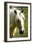 Sonny II-Alan Hausenflock-Framed Photographic Print