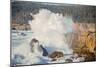 Sonoma Coast and Waves Crashing, California State Parks, Coast Life-Vincent James-Mounted Photographic Print