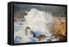 Sonoma Coast and Waves Crashing, California State Parks, Coast Life-Vincent James-Framed Stretched Canvas