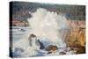 Sonoma Coast and Waves Crashing, California State Parks, Coast Life-Vincent James-Stretched Canvas