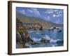 Sonoma Coast, CA-Eduardo Camoes-Framed Giclee Print