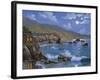 Sonoma Coast, CA-Eduardo Camoes-Framed Giclee Print