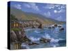 Sonoma Coast, CA-Eduardo Camoes-Stretched Canvas