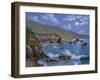 Sonoma Coast, CA-Eduardo Camoes-Framed Giclee Print