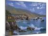 Sonoma Coast, CA-Eduardo Camoes-Mounted Giclee Print