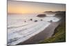 Sonoma Coast I-Alan Majchrowicz-Mounted Photo