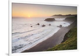 Sonoma Coast I-Alan Majchrowicz-Framed Photo