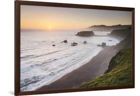 Sonoma Coast I-Alan Majchrowicz-Framed Photo