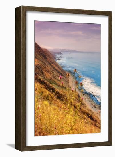 Sonoma Coast Mist-Vincent James-Framed Photographic Print