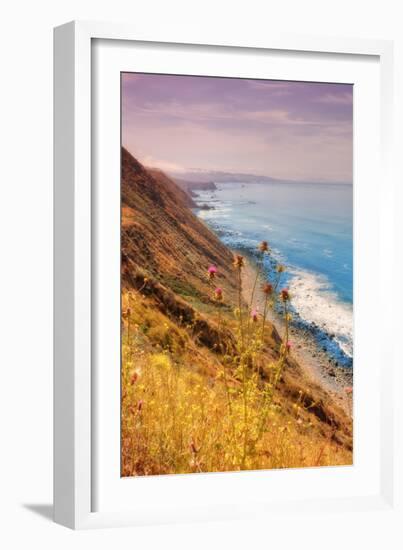 Sonoma Coast Mist-Vincent James-Framed Photographic Print