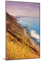 Sonoma Coast Mist-Vincent James-Mounted Photographic Print