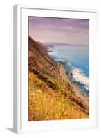 Sonoma Coast Mist-Vincent James-Framed Photographic Print