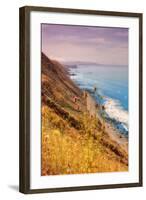 Sonoma Coast Mist-Vincent James-Framed Photographic Print