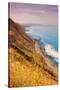 Sonoma Coast Mist-Vincent James-Stretched Canvas