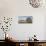 Sonoma Oak #3-Alan Blaustein-Photographic Print displayed on a wall