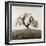 Sonoma Oak II-Alan Blaustein-Framed Photographic Print