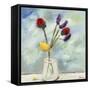 Sonoma Sprigs III-Bradford Brenner-Framed Stretched Canvas