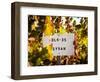 Sonoma Vineyard No.1-Ian Shive-Framed Photographic Print