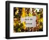 Sonoma Vineyard No.1-Ian Shive-Framed Photographic Print