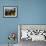 Sonoma Vineyard No.2-Ian Shive-Framed Photographic Print displayed on a wall
