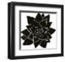 Sonora Aloe-Max Carter-Framed Giclee Print