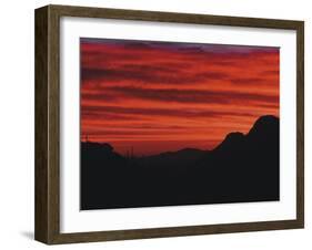 Sonora Desert, Saguaro National Park, Arizona, USA-Dee Ann Pederson-Framed Premium Photographic Print