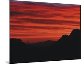 Sonora Desert, Saguaro National Park, Arizona, USA-Dee Ann Pederson-Mounted Premium Photographic Print