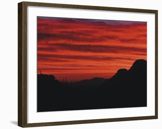 Sonora Desert, Saguaro National Park, Arizona, USA-Dee Ann Pederson-Framed Photographic Print