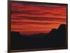 Sonora Desert, Saguaro National Park, Arizona, USA-Dee Ann Pederson-Framed Photographic Print