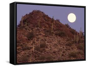 Sonora Desert, Saguaro National Park, Arizona, USA-Gavriel Jecan-Framed Stretched Canvas
