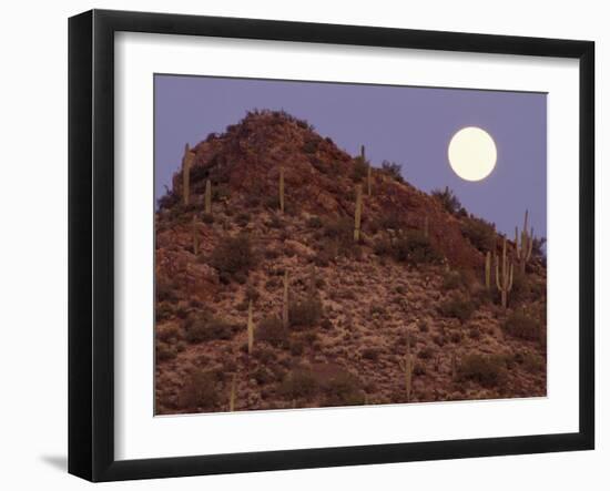 Sonora Desert, Saguaro National Park, Arizona, USA-Gavriel Jecan-Framed Premium Photographic Print