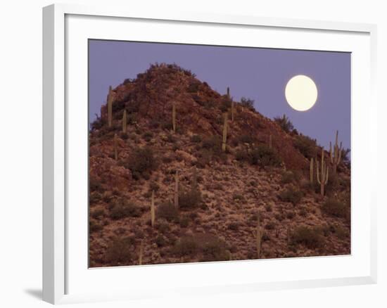 Sonora Desert, Saguaro National Park, Arizona, USA-Gavriel Jecan-Framed Photographic Print