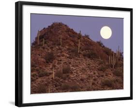 Sonora Desert, Saguaro National Park, Arizona, USA-Gavriel Jecan-Framed Photographic Print