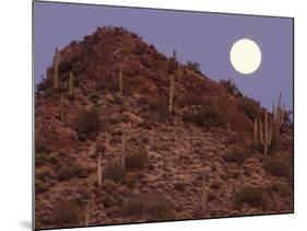 Sonora Desert, Saguaro National Park, Arizona, USA-Gavriel Jecan-Mounted Photographic Print