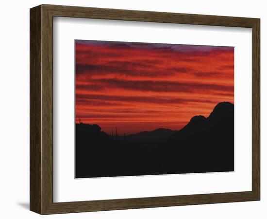 Sonora Desert, Saguaro National Park, Arizona, USA-Dee Ann Pederson-Framed Photographic Print