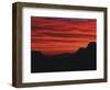 Sonora Desert, Saguaro National Park, Arizona, USA-Dee Ann Pederson-Framed Photographic Print