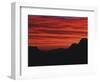 Sonora Desert, Saguaro National Park, Arizona, USA-Dee Ann Pederson-Framed Photographic Print