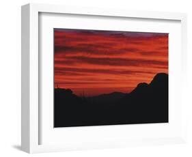 Sonora Desert, Saguaro National Park, Arizona, USA-Dee Ann Pederson-Framed Photographic Print