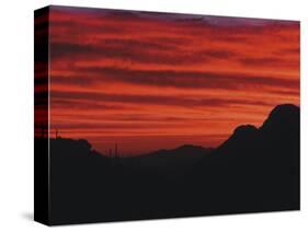 Sonora Desert, Saguaro National Park, Arizona, USA-Dee Ann Pederson-Stretched Canvas