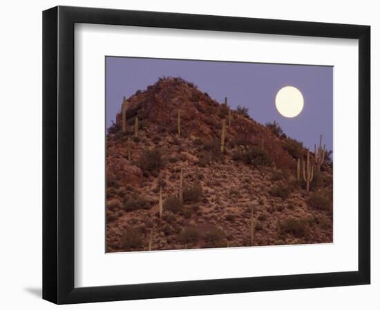 Sonora Desert, Saguaro National Park, Arizona, USA-Gavriel Jecan-Framed Photographic Print