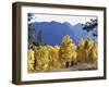 Sonora Pass California, USA-null-Framed Photographic Print