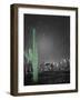 Sonora-Moises Levy-Framed Photographic Print