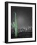 Sonora-Moises Levy-Framed Photographic Print