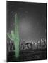 Sonora-Moises Levy-Mounted Photographic Print