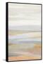 Sonoran 2-Suzanne Nicoll-Framed Stretched Canvas