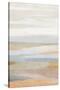 Sonoran 2-Suzanne Nicoll-Stretched Canvas