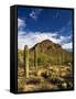 Sonoran Desert and Mountains of the Saguaro National Park-Terry Eggers-Framed Stretched Canvas