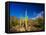 Sonoran Desert and Mountains of the Saguaro National Park-Terry Eggers-Framed Stretched Canvas