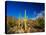 Sonoran Desert and Mountains of the Saguaro National Park-Terry Eggers-Stretched Canvas