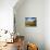 Sonoran Desert and Mountains of the Saguaro National Park-Terry Eggers-Photographic Print displayed on a wall